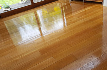 Wood Floor Polishing